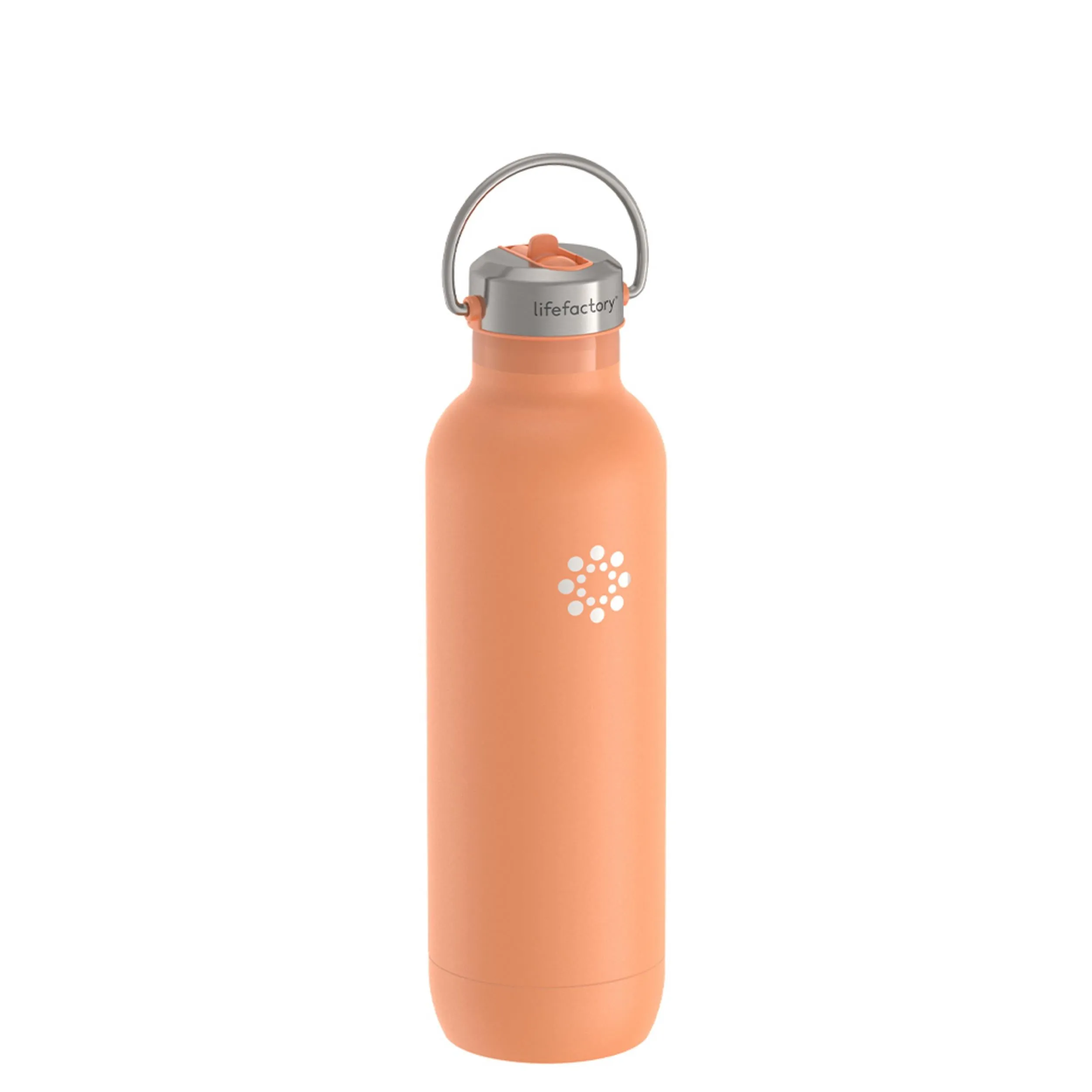 24oz Stainless Steel Water Bottle Straw Cap