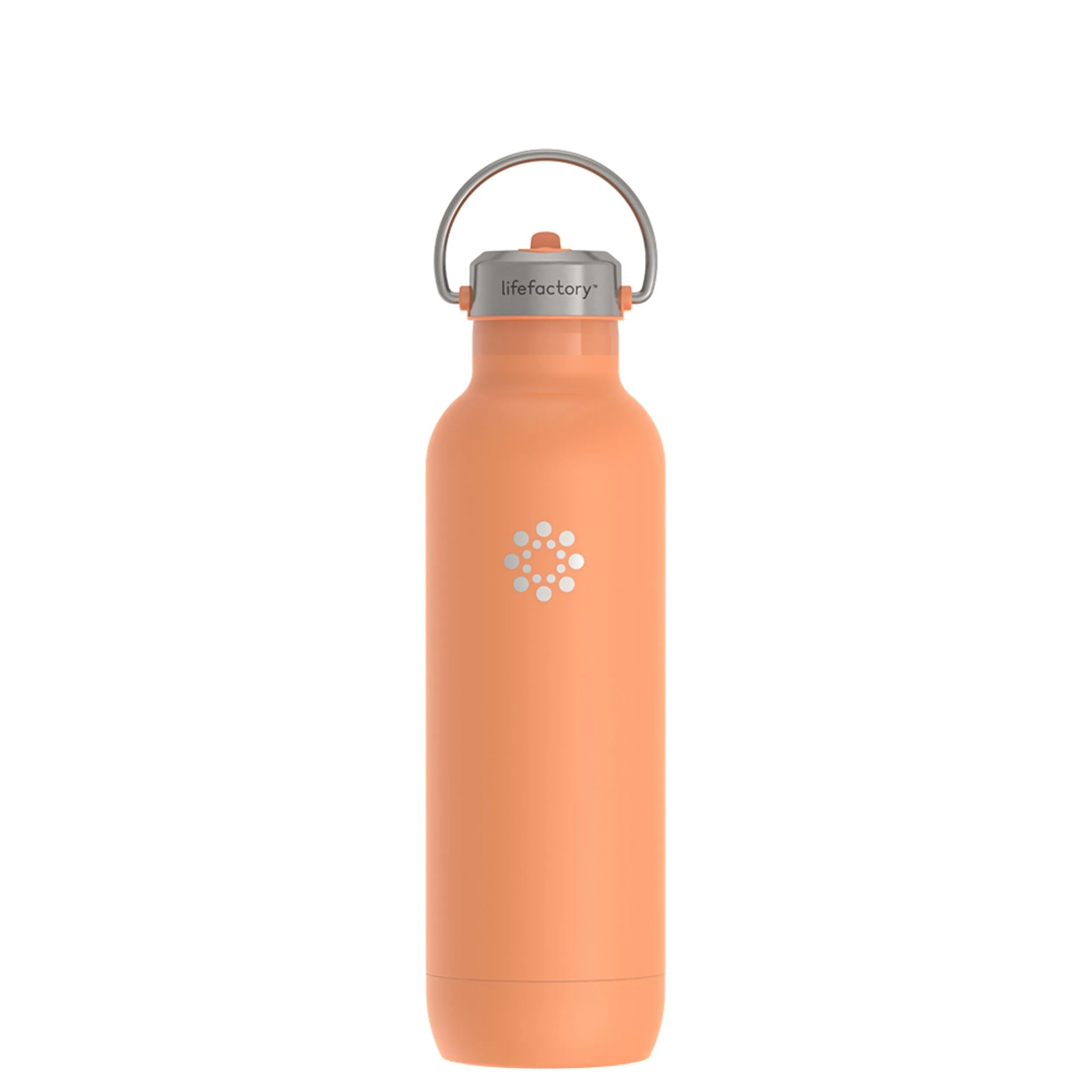 24oz Stainless Steel Water Bottle Straw Cap