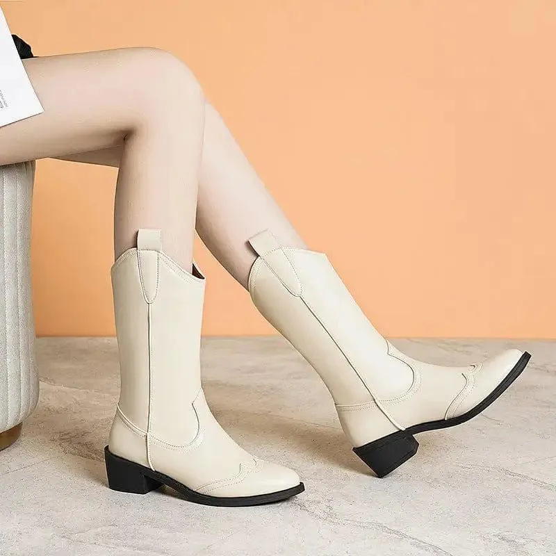 new Autumn Fashion Mid-calf Boots For Women Pointed Sleeve Chunky Heel Fashion Boots Female Factory Wholesale