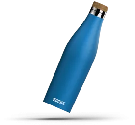 SIGG Meridian Water Bottle 0.5L